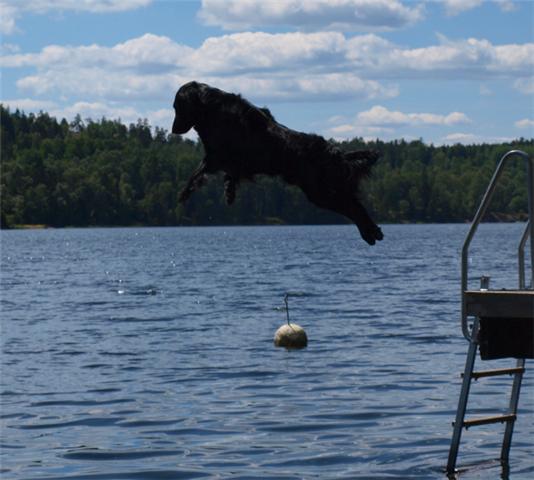 Loke p&aring; spr&aring;ng sommaren 2010